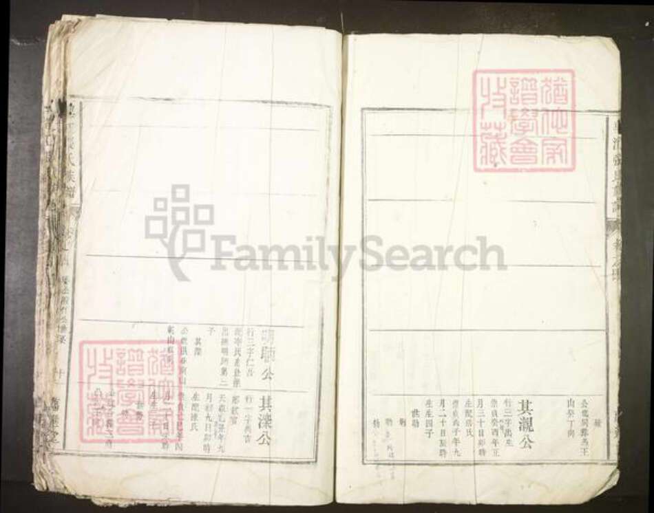 安徽省安庆市望江县张氏族谱-望江张氏族谱.pdf电子版预览图4