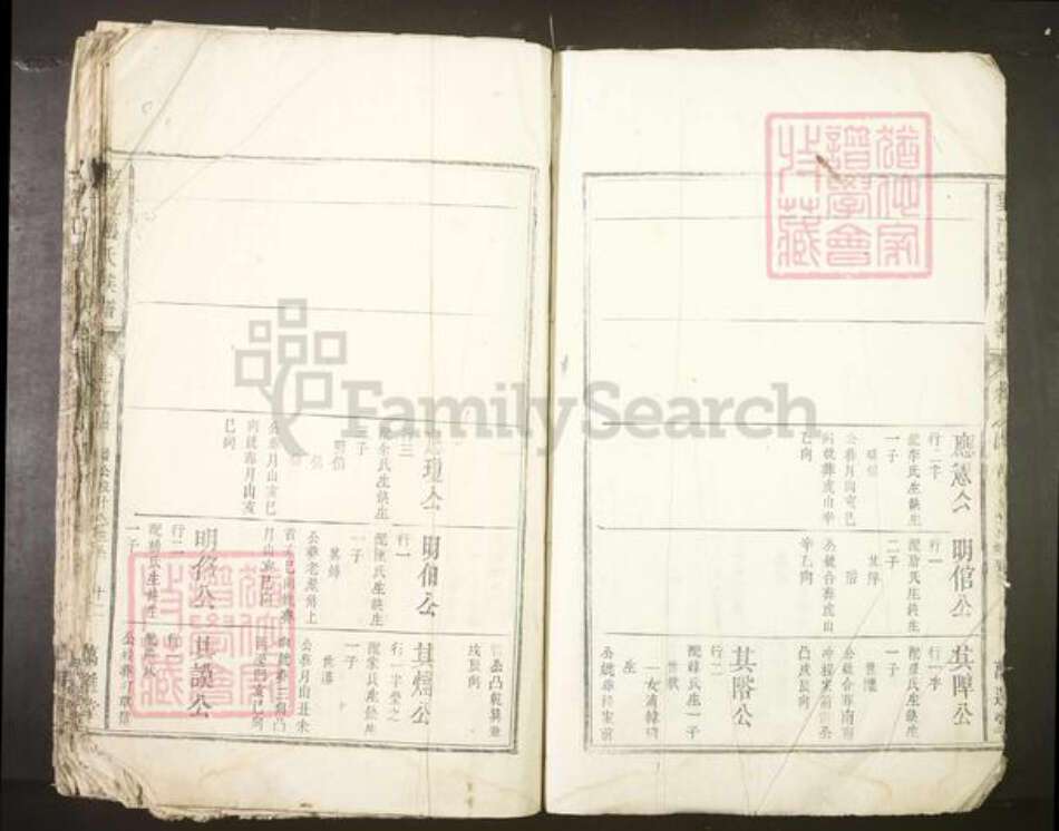 安徽省安庆市望江县张氏族谱-望江张氏族谱.pdf电子版预览图5