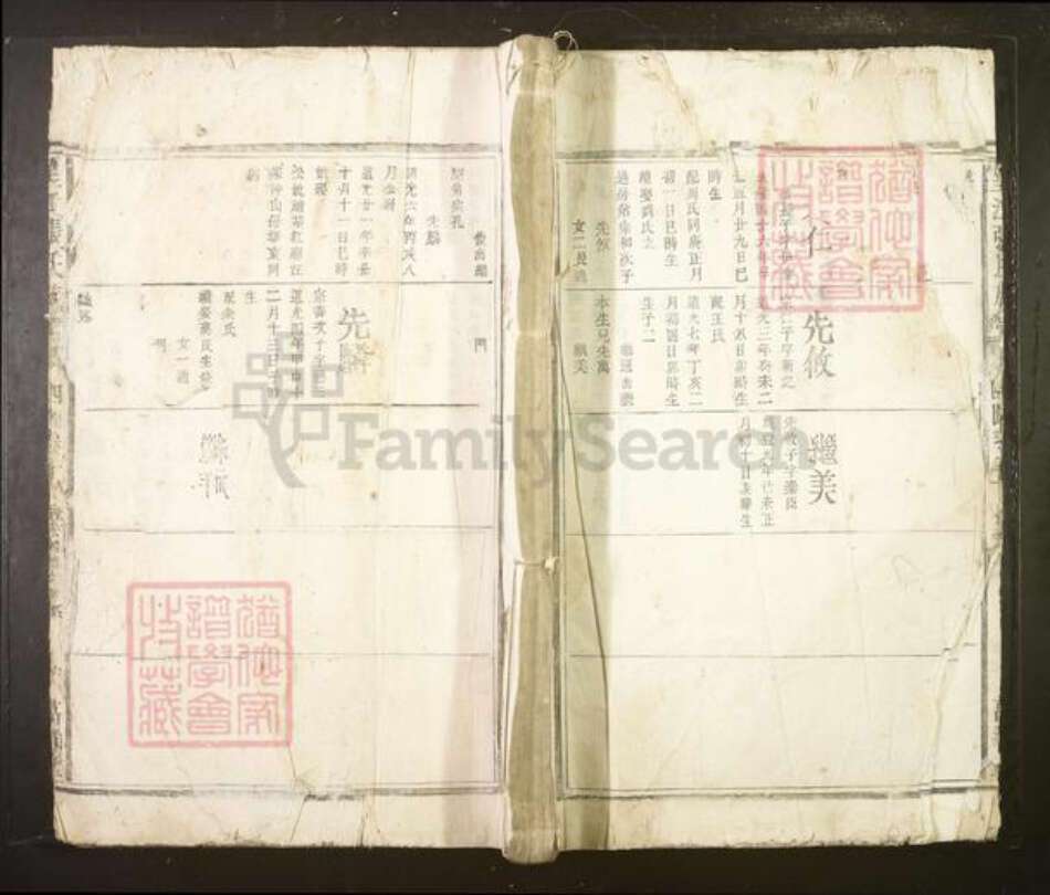 安徽省安庆市望江县张氏族谱-望江张氏族谱.pdf电子版缩略图