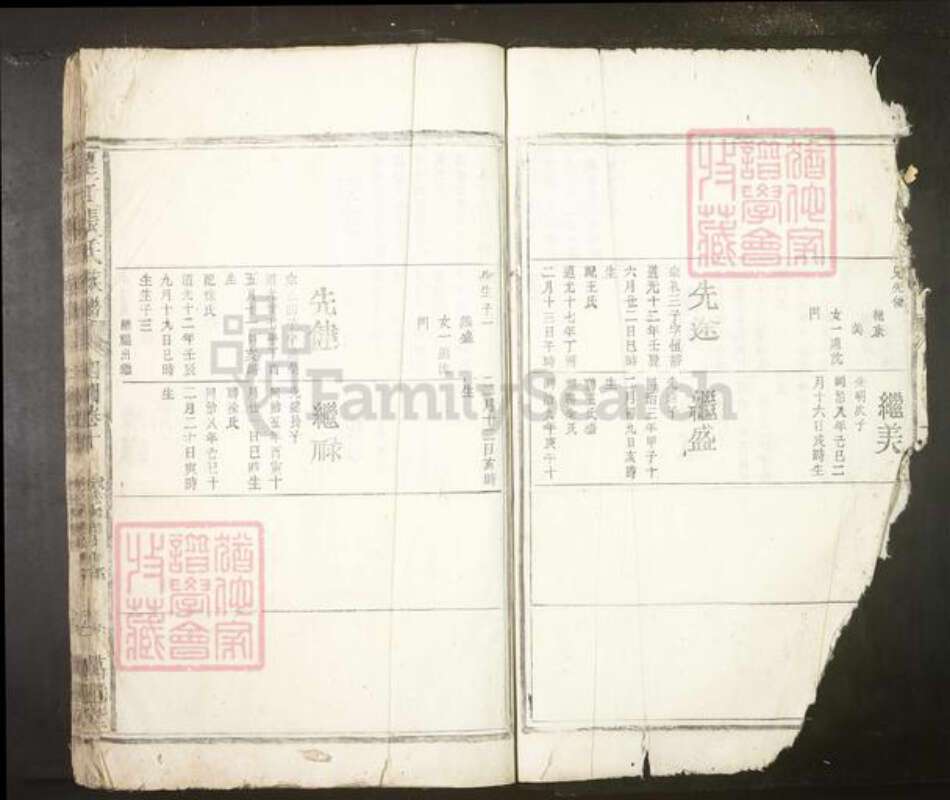 安徽省安庆市望江县张氏族谱-望江张氏族谱.pdf电子版预览图1