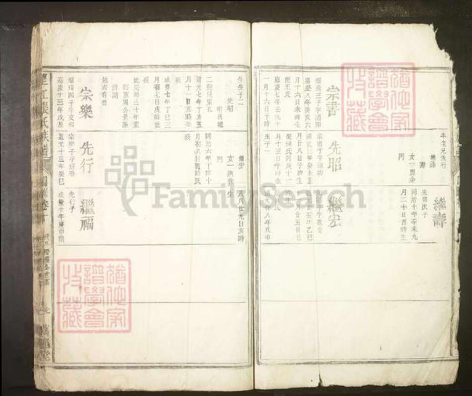 安徽省安庆市望江县张氏族谱-望江张氏族谱.pdf电子版预览图2