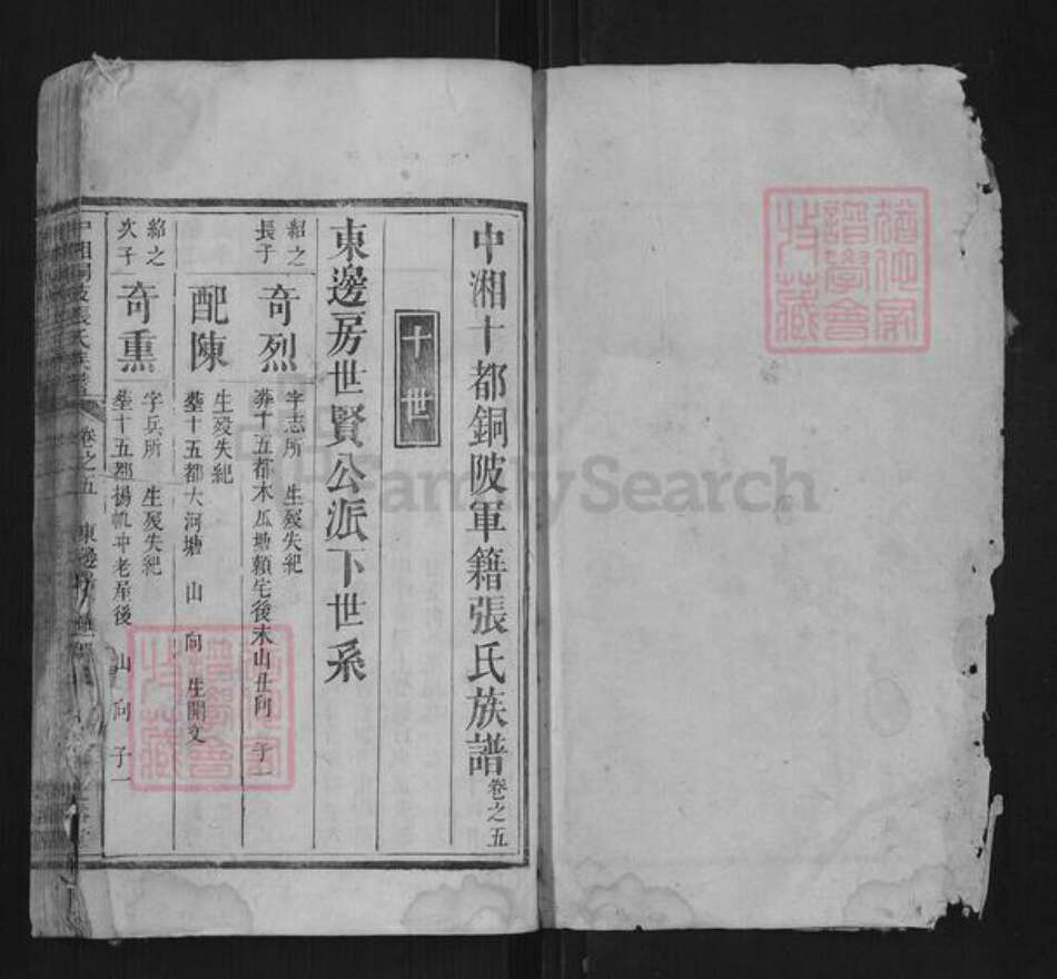 湖南省湘潭市张氏族谱-中湘铜陂张氏族谱.pdf电子版预览图1