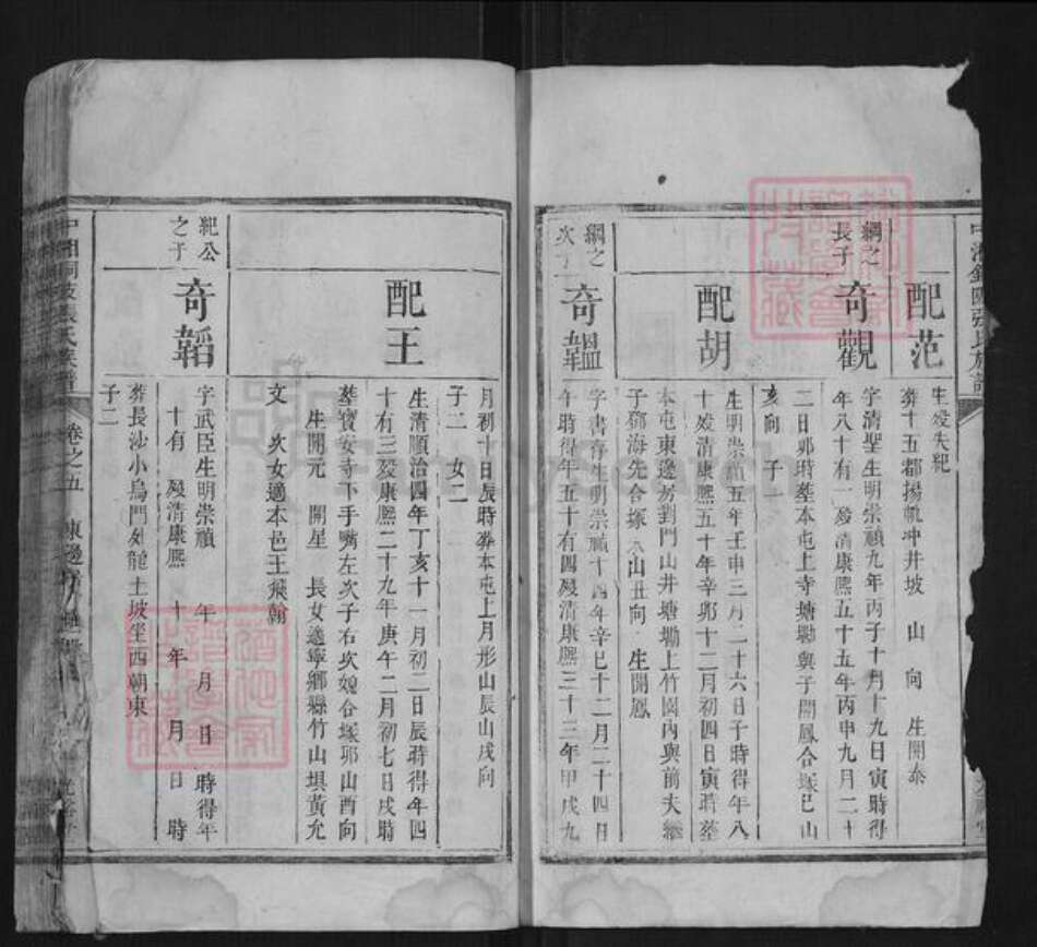 湖南省湘潭市张氏族谱-中湘铜陂张氏族谱.pdf电子版预览图2