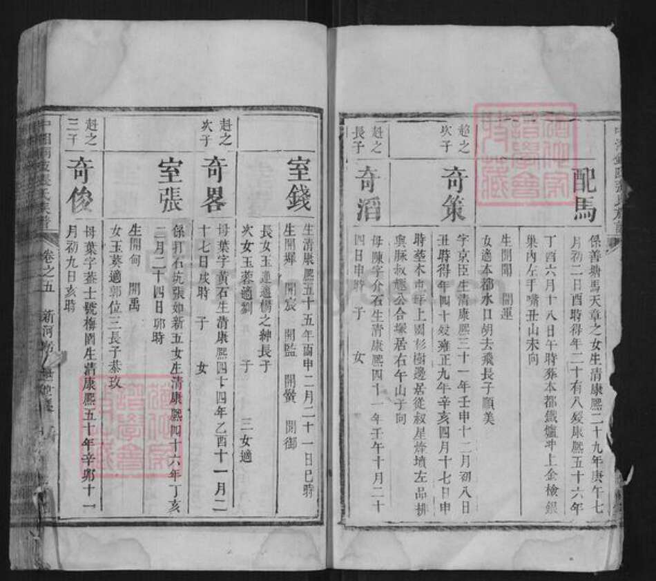 湖南省湘潭市张氏族谱-中湘铜陂张氏族谱.pdf电子版预览图5