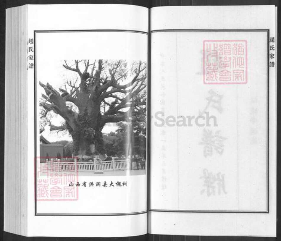 山东省滨州市滨城区赵氏追远堂族谱-赵氏谱牒.pdf电子版预览图2