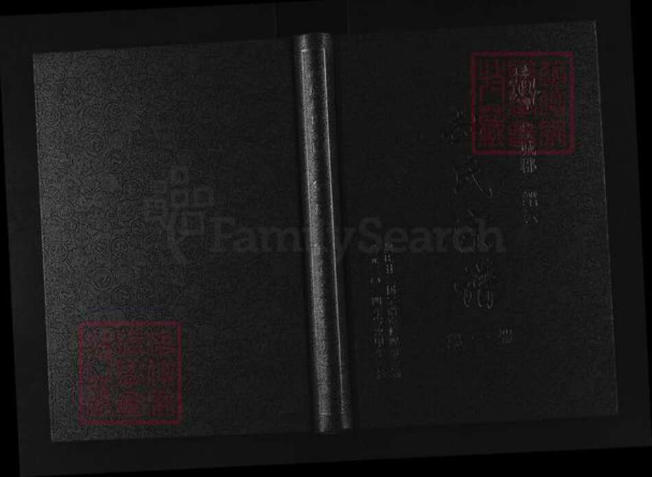 浙江省丽水市缙云县赵氏半部堂族谱-蒙城赵氏宗谱.pdf电子版缩略图