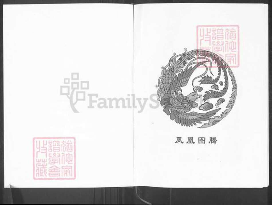 重庆市巫山县赵氏天水堂族谱-赵氏宗谱.pdf电子版预览图1