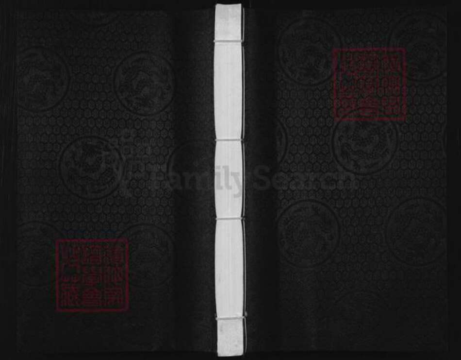 河北省廊坊市大城县赵氏族谱-赵氏家谱.pdf电子版缩略图