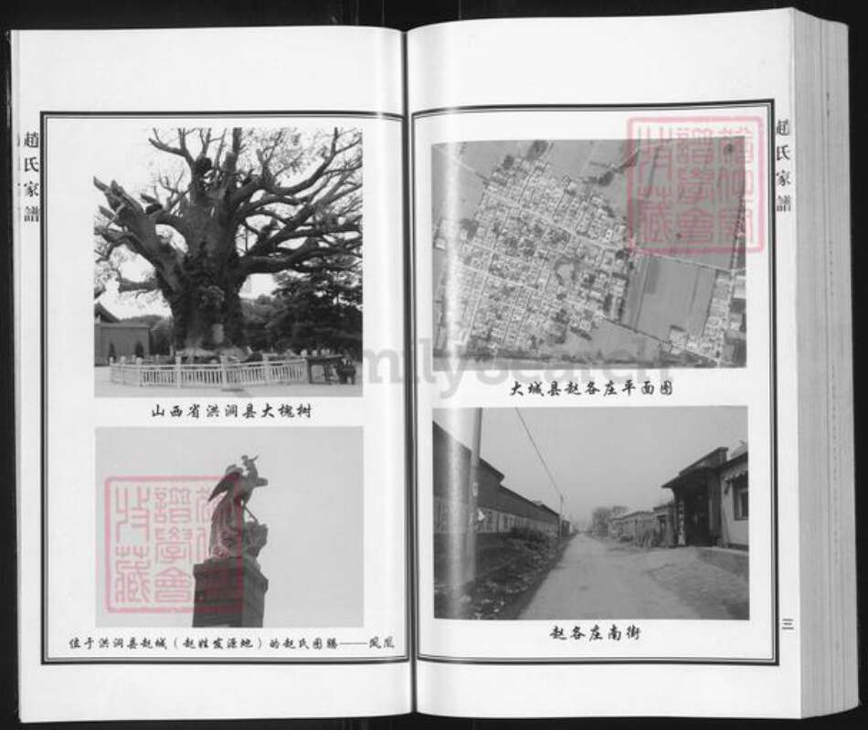 河北省廊坊市大城县赵氏族谱-赵氏家谱.pdf电子版预览图4
