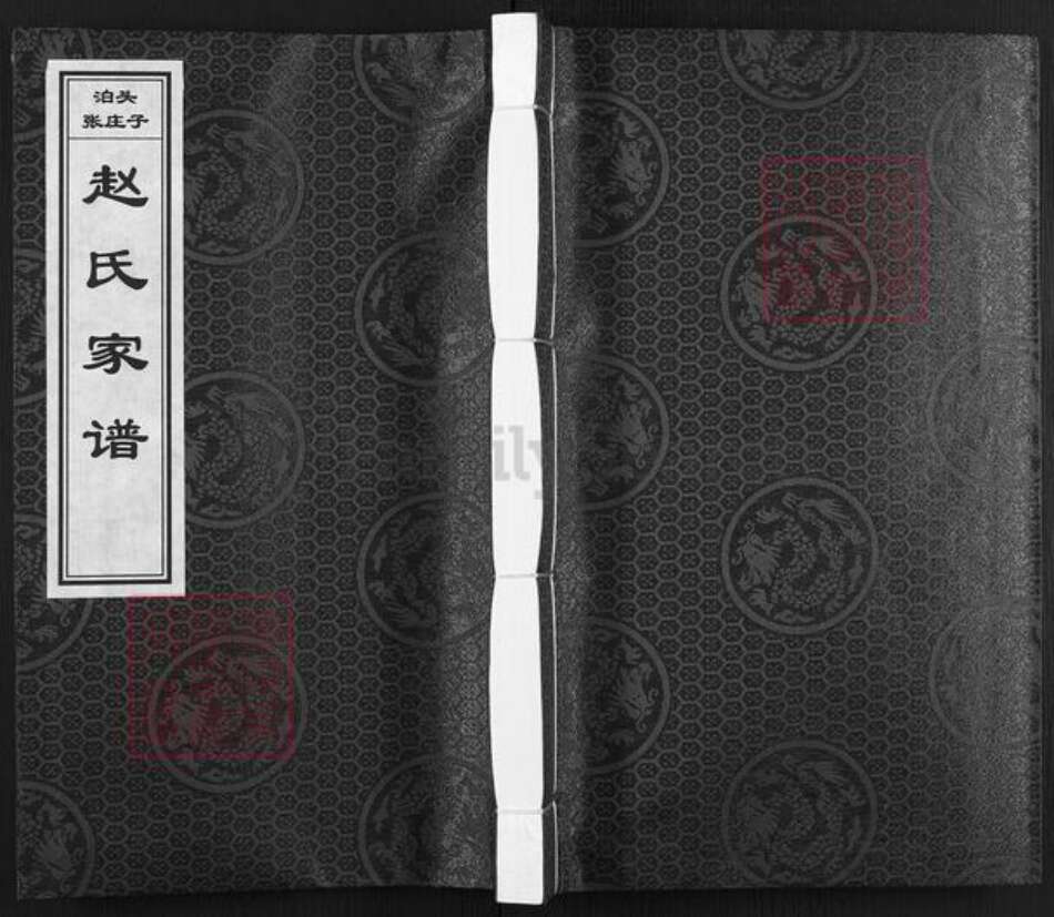 河北省沧州泊头市泊镇镇赵氏族谱-赵氏家谱.pdf电子版缩略图