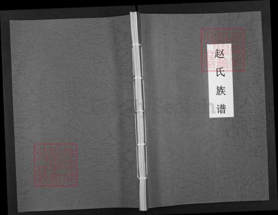 四川省广安市岳池县中和镇赵氏族谱-赵氏族谱.pdf电子版缩略图