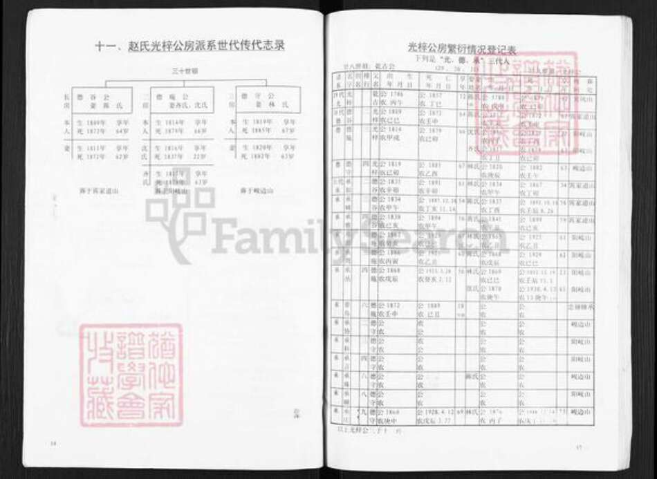 福建省福州市仓山区仓山镇赵氏族谱-赵氏魏王派系族谱新编.pdf电子版预览图5