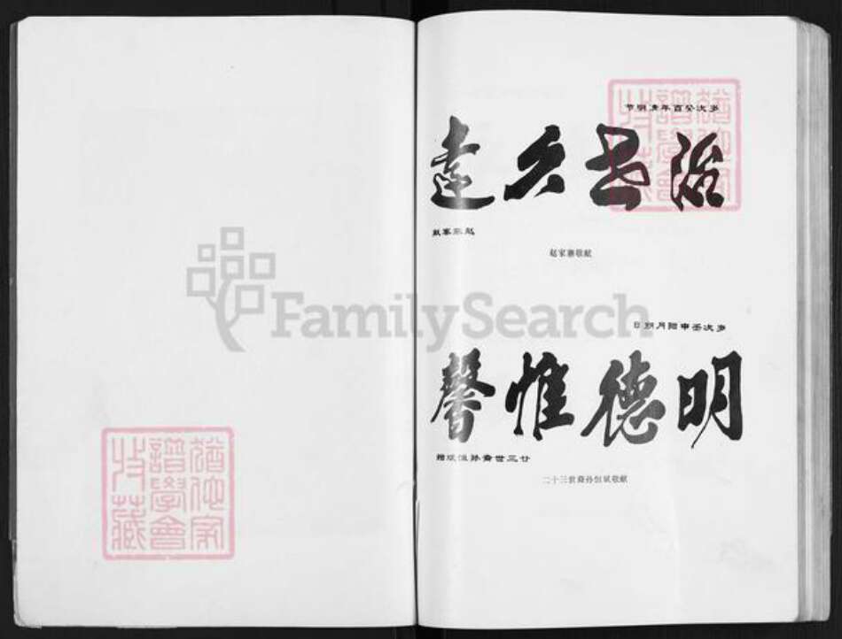 河南省郑州市新郑市辛店镇赵氏族谱-赵氏宗谱.pdf电子版预览图3