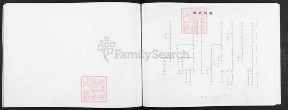 山东省济南市历城区赵氏族谱-赵氏族谱.pdf电子版预览图5