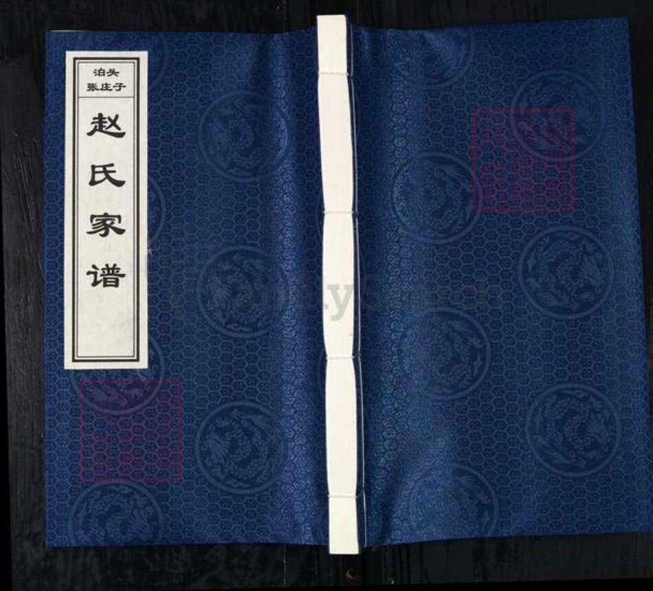 河北省沧州泊头市交河镇赵氏族谱-泊头张庄子赵氏家谱.pdf电子版缩略图