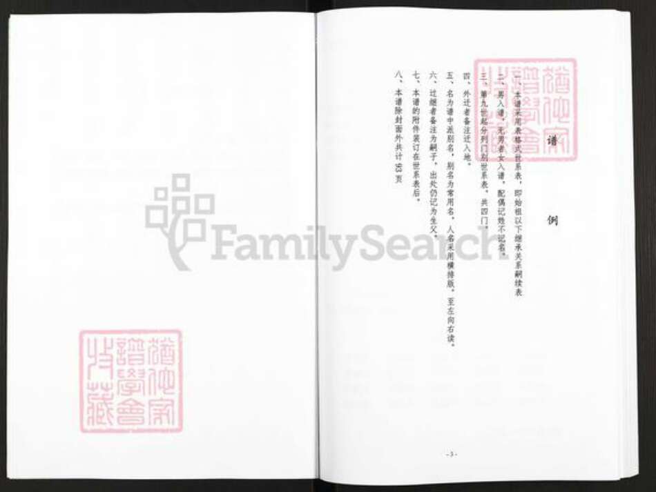 河南省安阳市汤阴县菜园镇赵氏报本堂族谱-赵氏家谱.pdf电子版预览图3