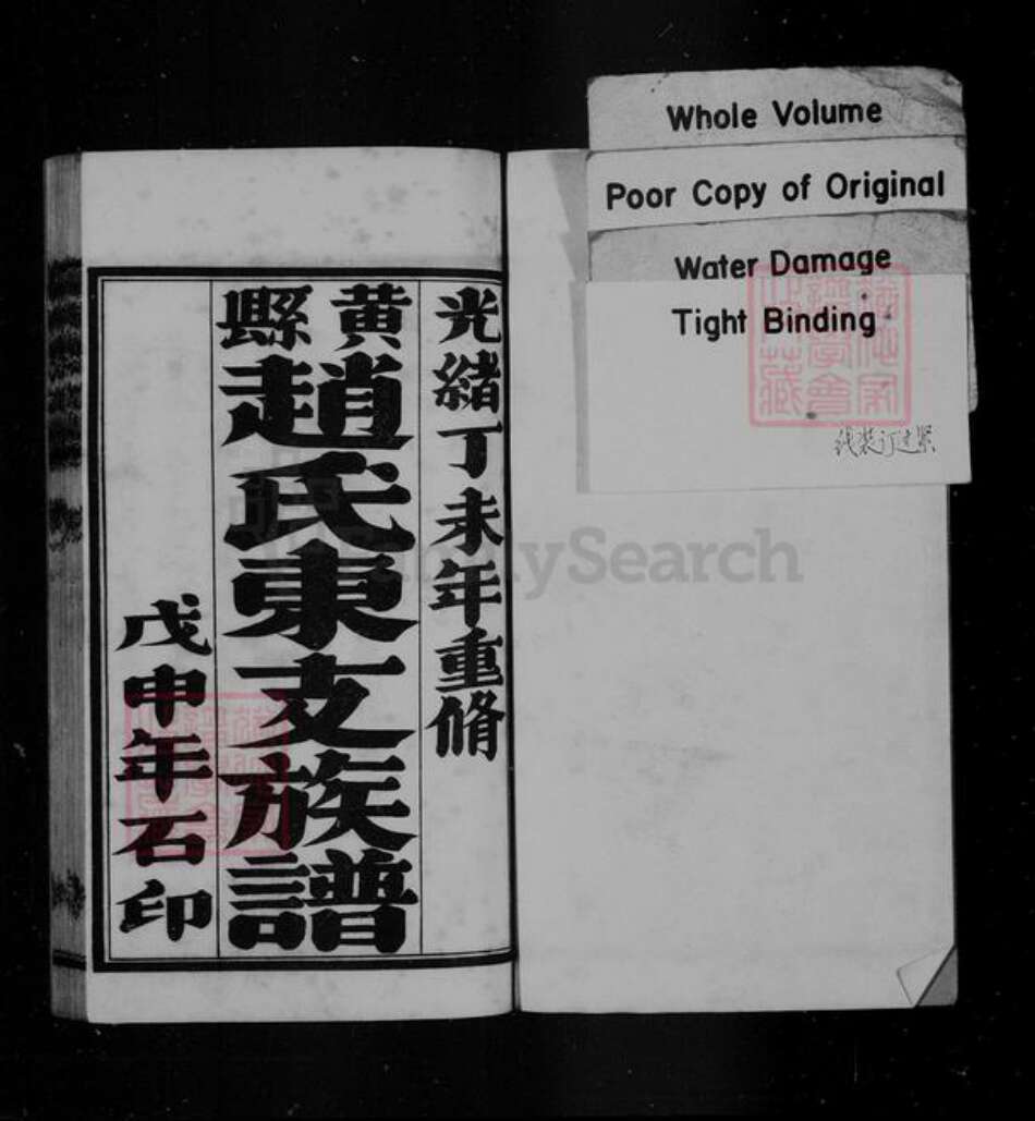 山东省烟台市龙口市赵氏族谱-黄县赵氏东支族谱 [8卷].pdf电子版预览图2