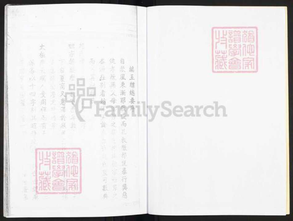 山东省枣庄市滕州市赵氏族谱-赵氏族谱.pdf电子版预览图3