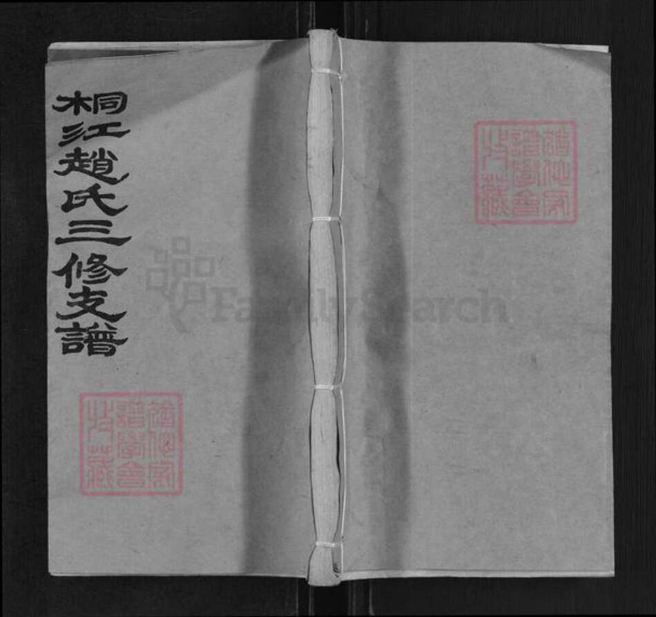 湖南省邵阳市邵东赵氏松荫堂族谱-桐江赵氏三修支谱.pdf电子版缩略图