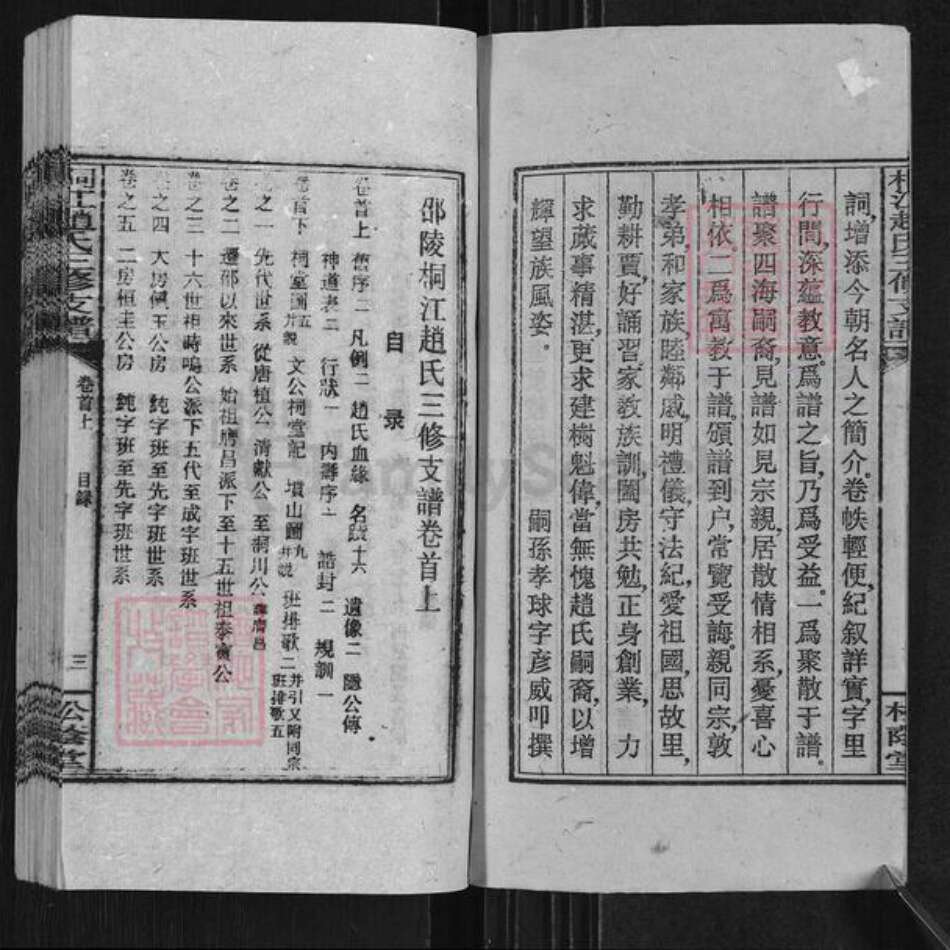 湖南省邵阳市邵东赵氏松荫堂族谱-桐江赵氏三修支谱.pdf电子版预览图3