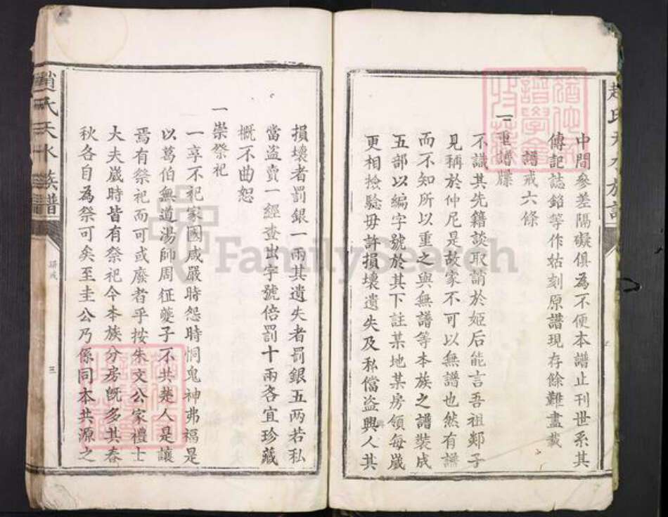 江西省吉安市吉安县永和镇赵氏族谱-天水赵氏族谱.pdf电子版预览图5