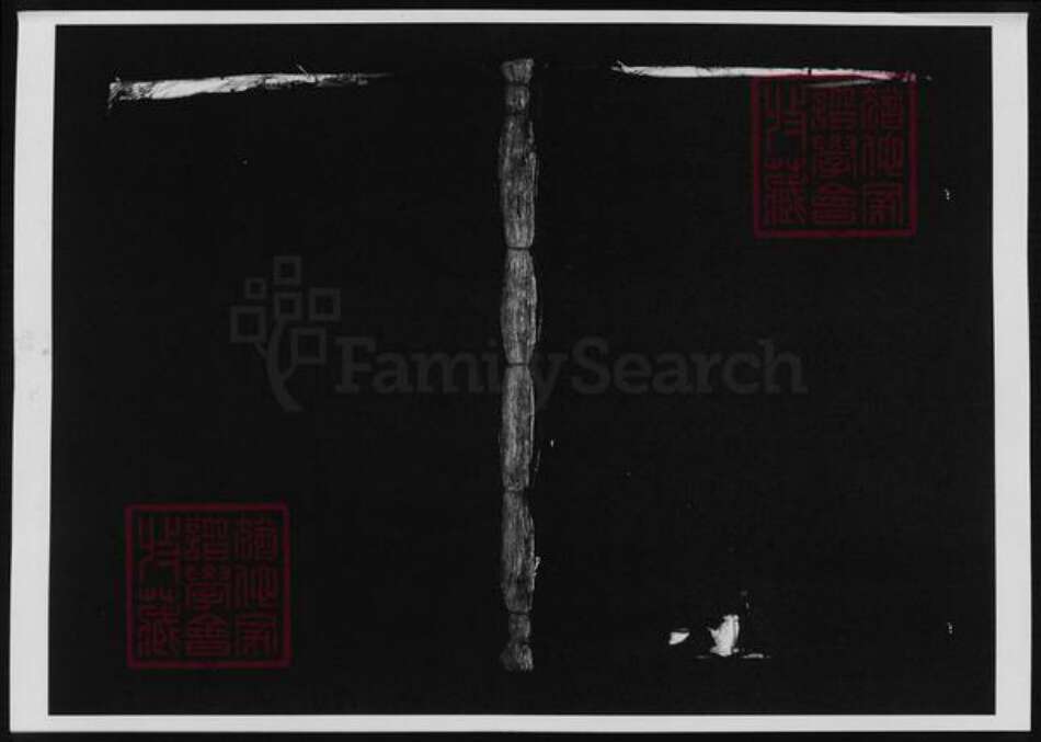 浙江省温州市赵氏族谱-赵氏宗谱.pdf电子版缩略图