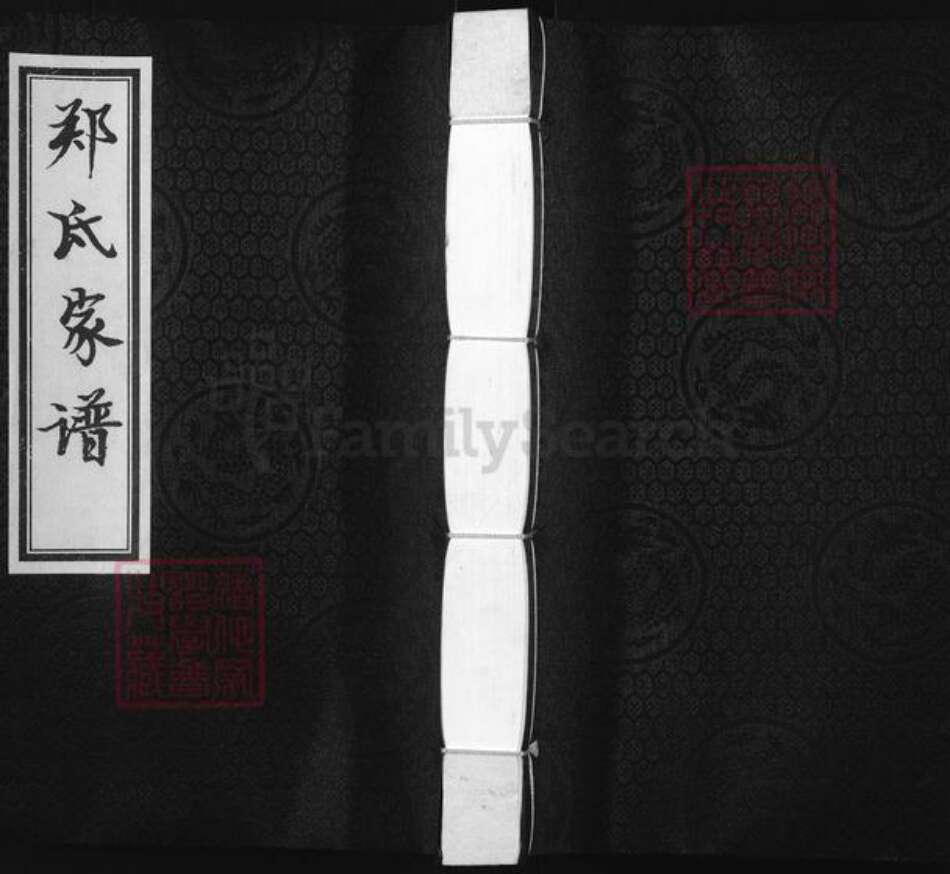 山东省德州市庆云县严务乡郑氏族谱-郑氏家谱.pdf电子版缩略图