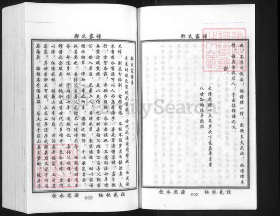 山东省德州市庆云县严务乡郑氏族谱-郑氏家谱.pdf电子版预览图3