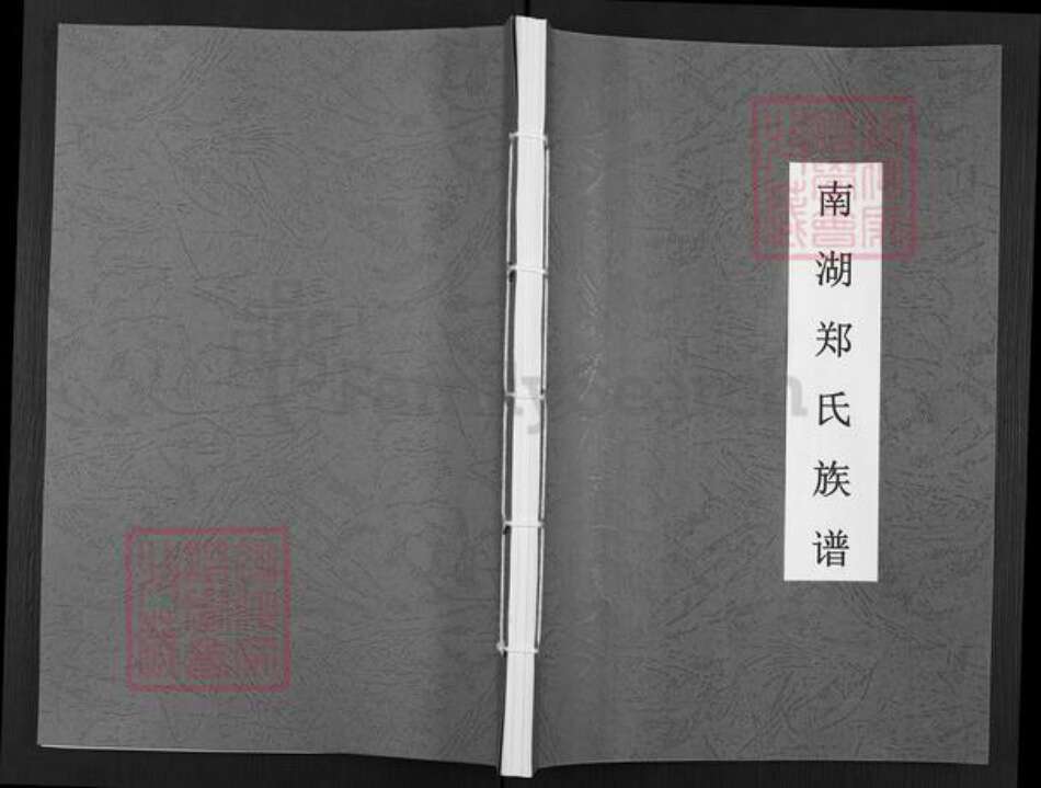 福建省莆田市仙游县钟山镇郑氏族谱-南湖郑氏族谱.pdf电子版缩略图