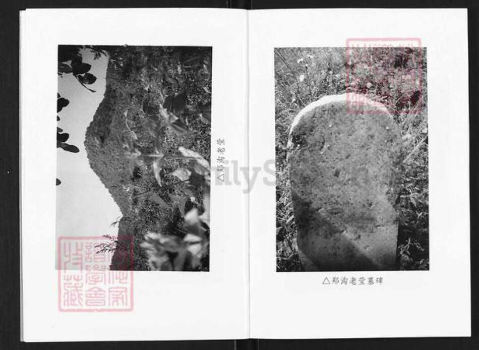 山西省长治市沁源县郭道镇郑氏积善堂族谱-郑氏家谱.pdf电子版预览图4