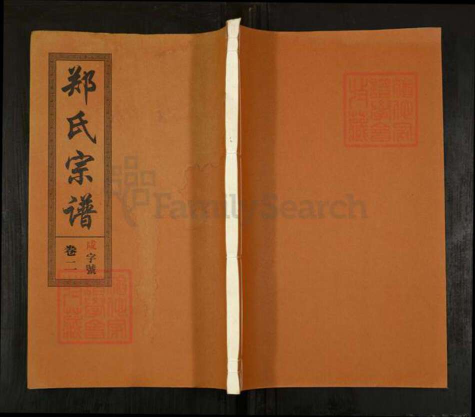 安徽省合肥市郑氏书带堂族谱-郑氏宗谱.pdf电子版缩略图