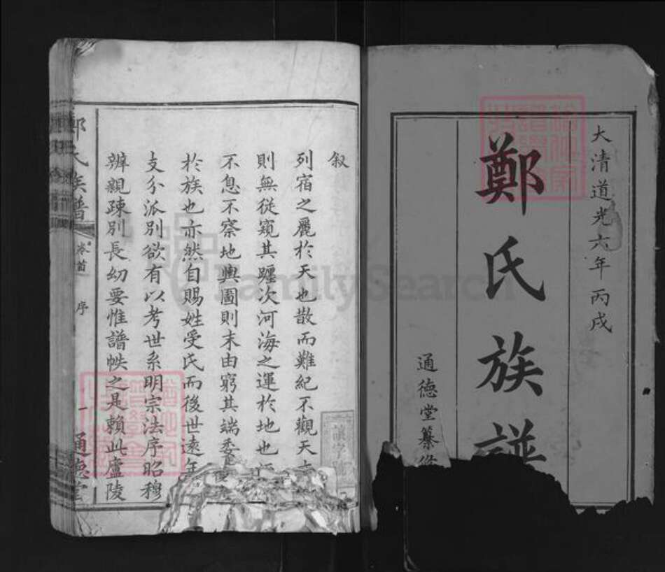 湖南省长沙市浏阳市沙市镇郑氏通德堂族谱-郑氏族谱.pdf电子版预览图1