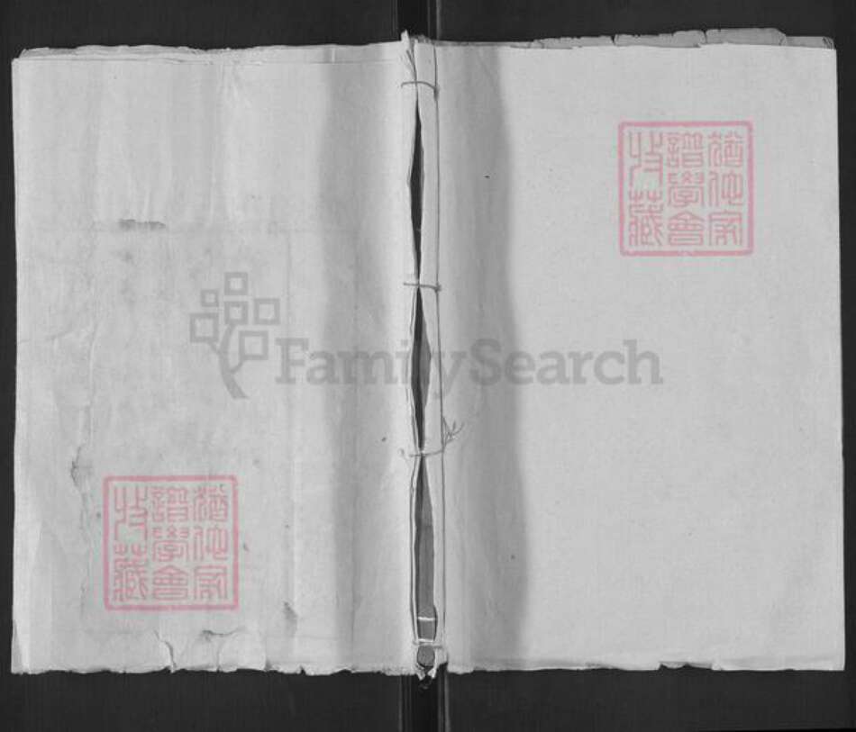 山东省泰安市东平县郑氏济美堂族谱-东原郑氏家谱.pdf电子版缩略图