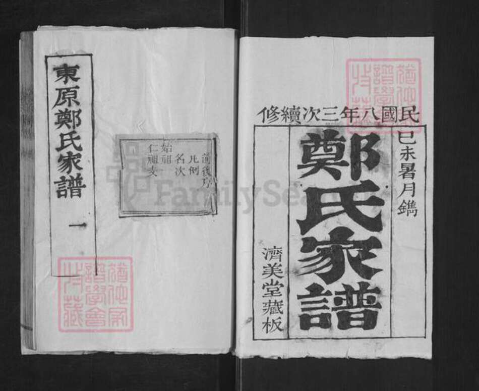 山东省泰安市东平县郑氏济美堂族谱-东原郑氏家谱.pdf电子版预览图1