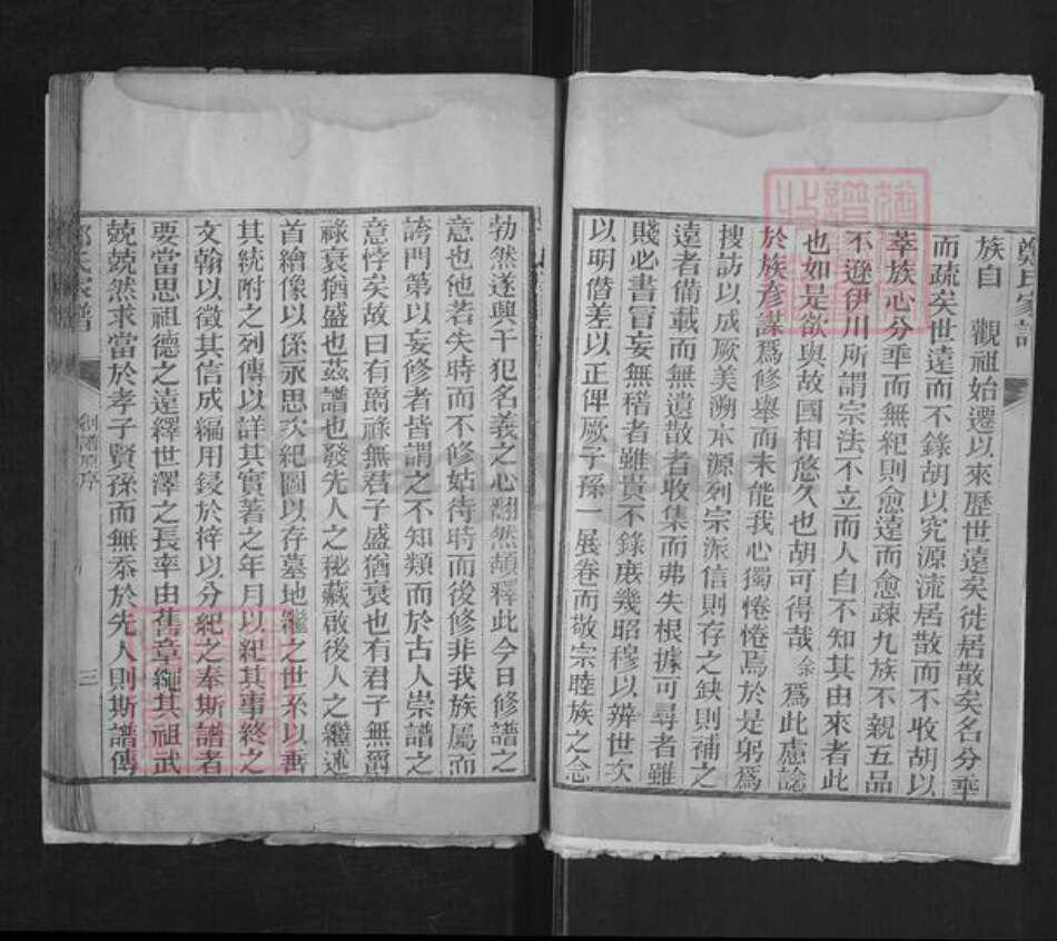 山东省泰安市东平县郑氏济美堂族谱-东原郑氏家谱.pdf电子版预览图4