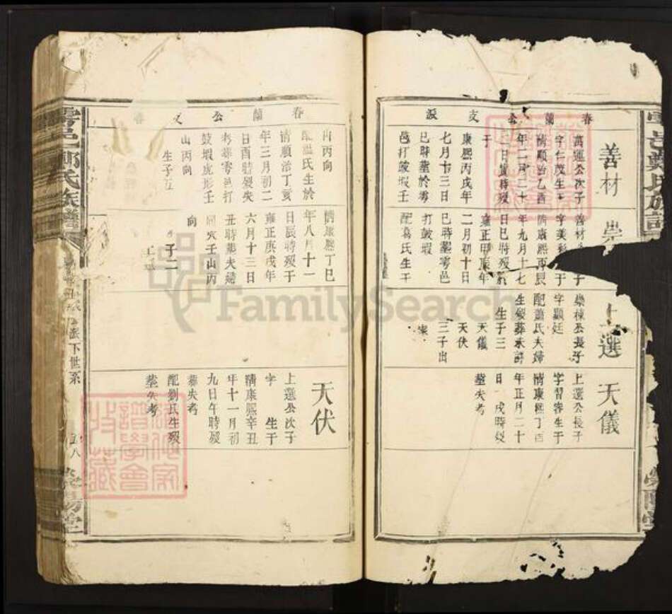 江西省赣州市于都县郑氏荥阳堂族谱-雩邑郑氏族谱.pdf电子版预览图3