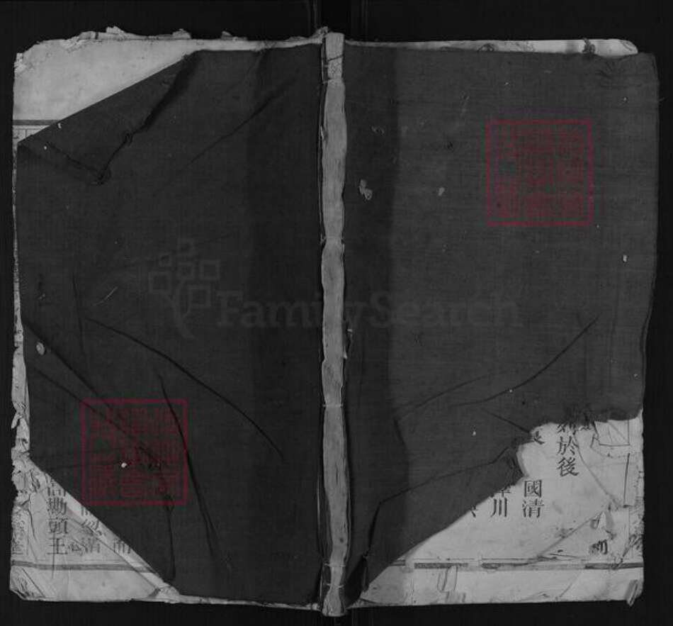 江西省上饶市广丰区郑氏忠节堂族谱-仁村郑氏宗谱.pdf电子版缩略图