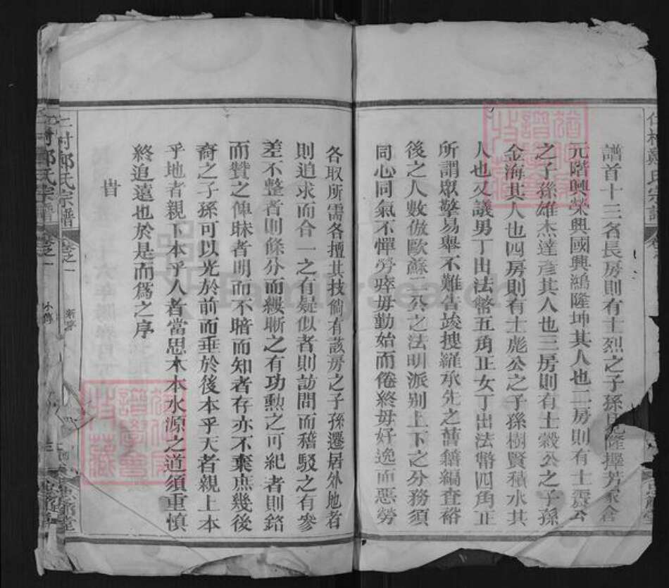 江西省上饶市广丰区郑氏忠节堂族谱-仁村郑氏宗谱.pdf电子版预览图3