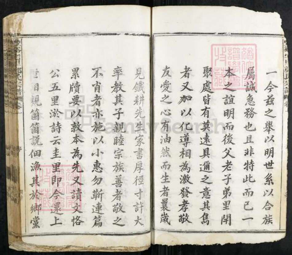 江西省上饶市广丰区郑氏族谱-丰谿宅里郑氏宗谱.pdf电子版预览图4