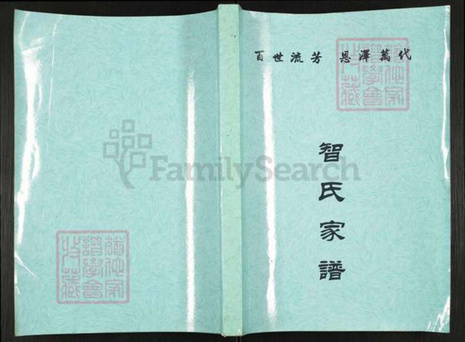 山西省忻州市五台县阳白乡智氏族谱-智氏家谱.pdf电子版