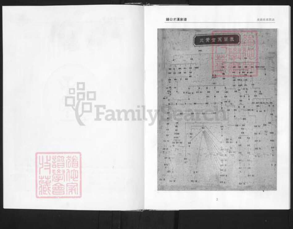 江西省赣州市南康区钟氏颍川堂族谱-颍川堂钟公才汉家谱.pdf电子版预览图4