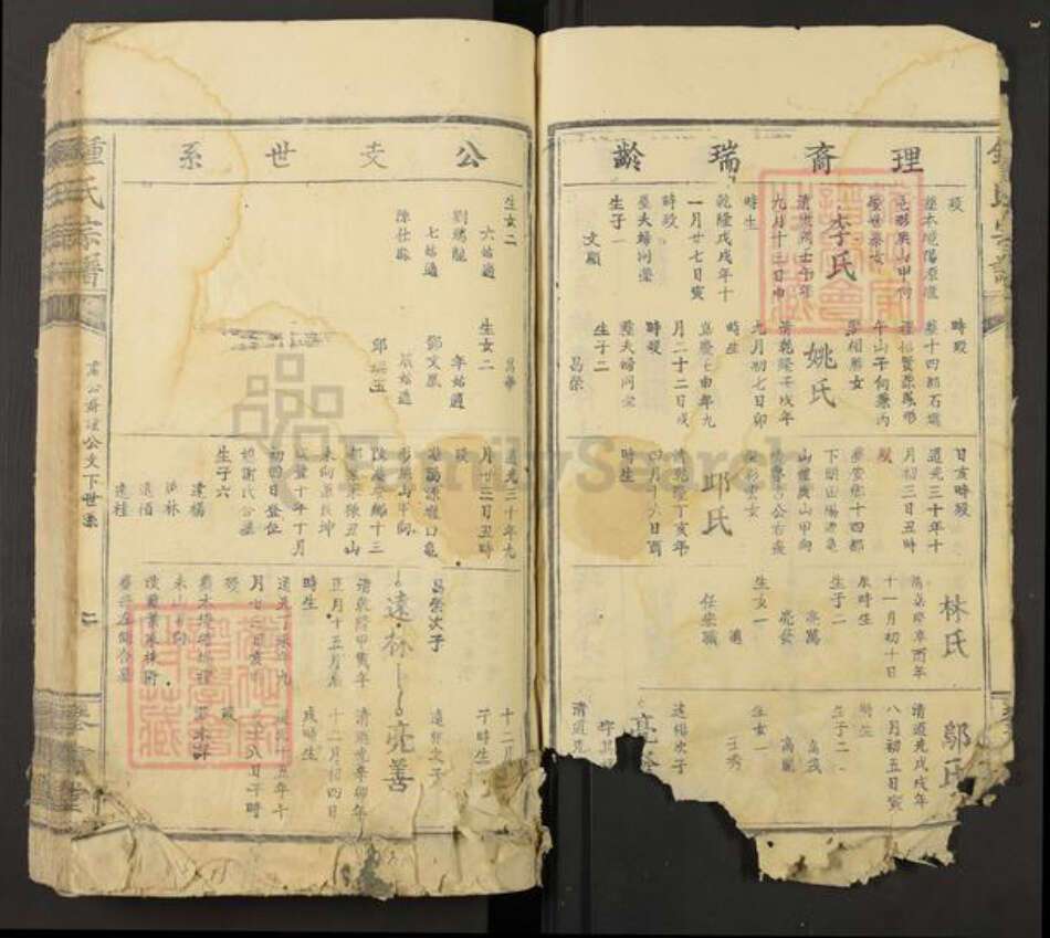 福建省福州市长乐区钟氏琴书堂族谱-钟氏宗谱.pdf电子版预览图2