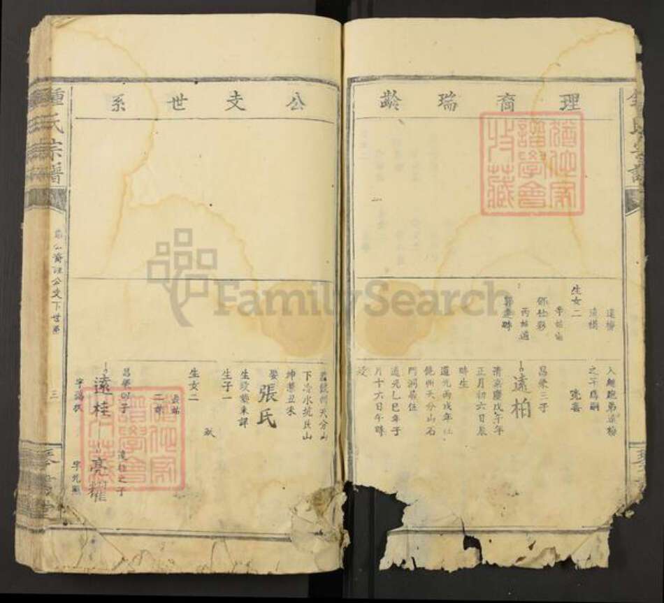 福建省福州市长乐区钟氏琴书堂族谱-钟氏宗谱.pdf电子版预览图3