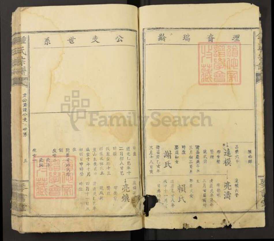 福建省福州市长乐区钟氏琴书堂族谱-钟氏宗谱.pdf电子版预览图5