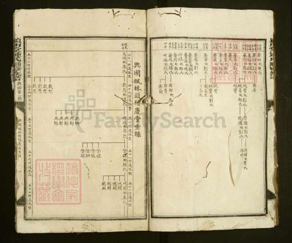 江西省赣州市兴国县潋江镇钟氏族谱-颍川堂钟氏联修总谱.pdf电子版预览图2