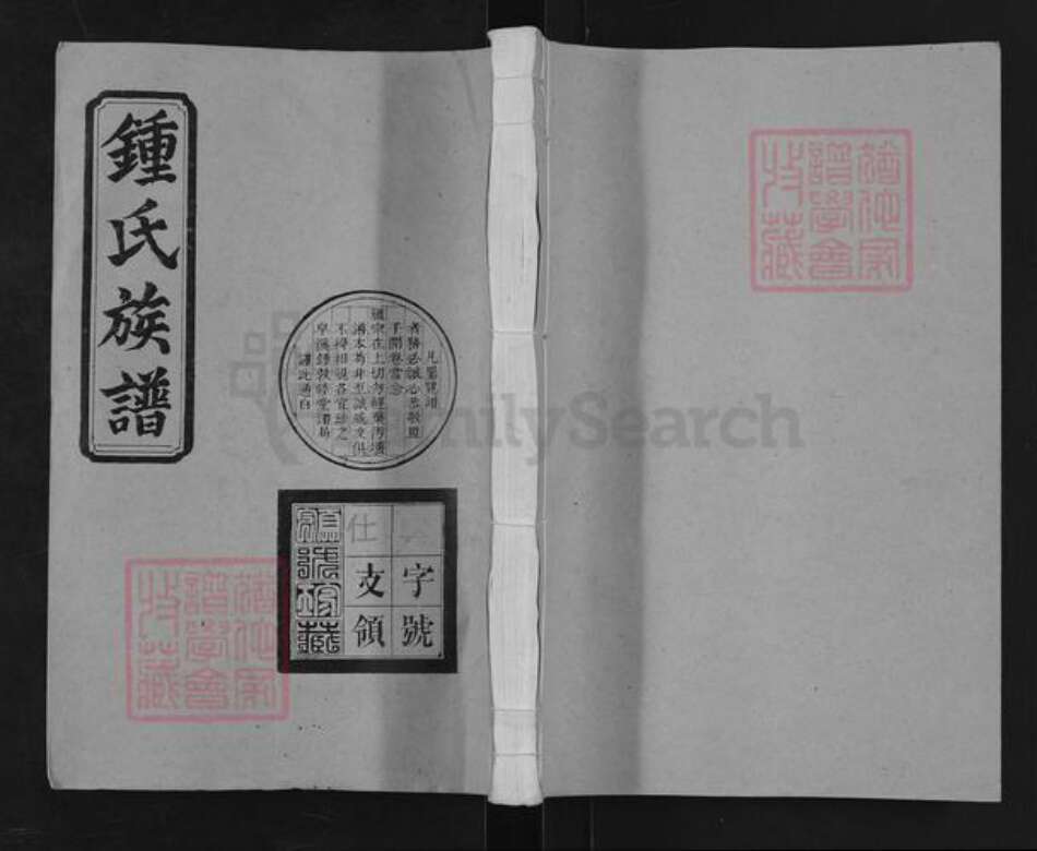 江西省宜春市铜鼓县三都镇钟氏敦睦堂族谱-钟氏族谱.pdf电子版缩略图