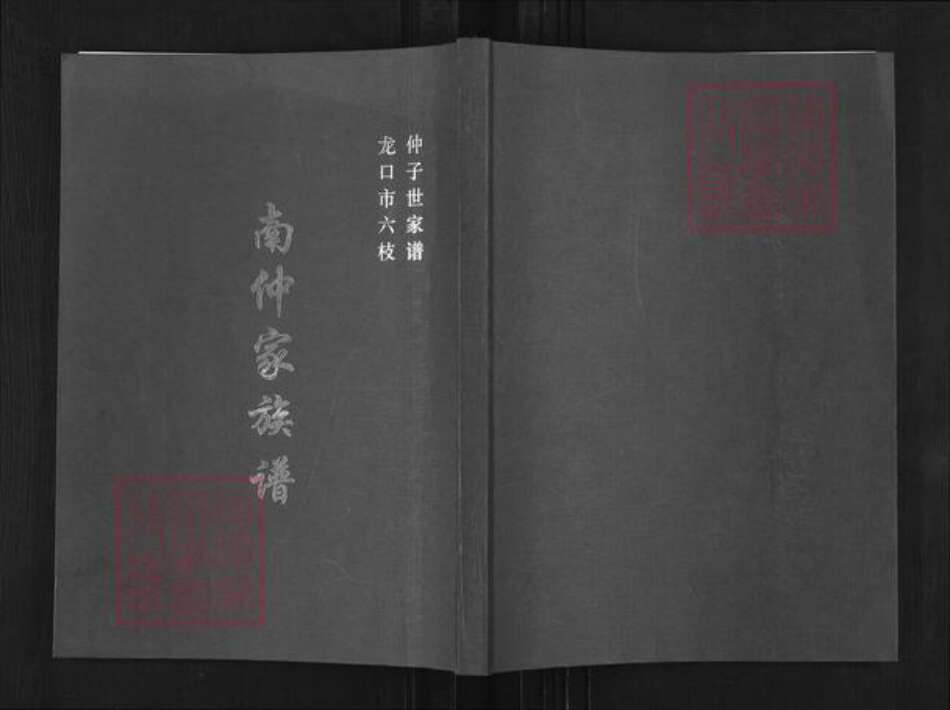 山东省烟台市龙口市北马镇仲氏族谱-南仲家族谱.pdf电子版