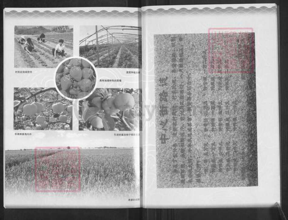 山东省烟台市龙口市北马镇仲氏族谱-南仲家族谱.pdf电子版预览图5
