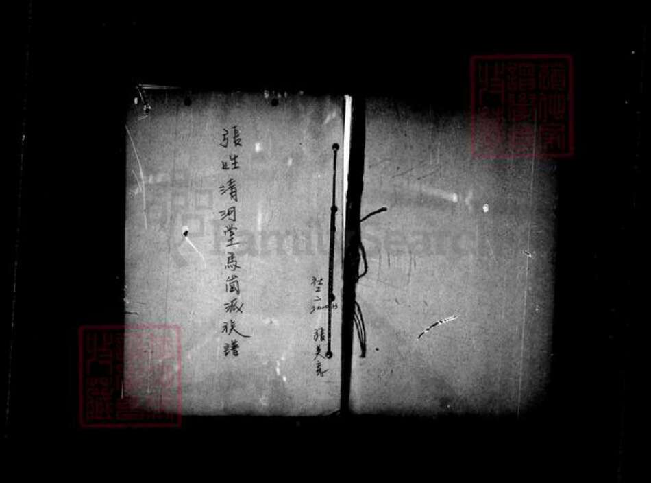 辽宁省锦州义县周氏族谱-周东美族谱.pdf电子版预览图4