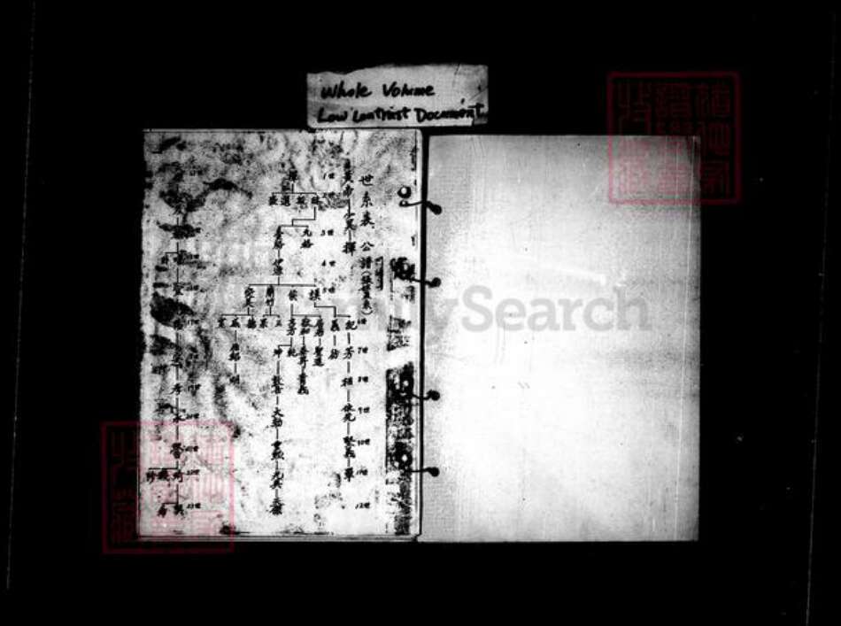 辽宁省锦州义县周氏族谱-周东美族谱.pdf电子版预览图5